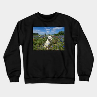 Ditte in a field of wild flowers Crewneck Sweatshirt